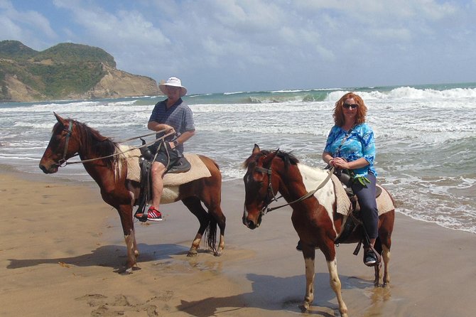 Gros Islet Private Horseback Riding and Waterfall Tour  - St Lucia - The Sum Up