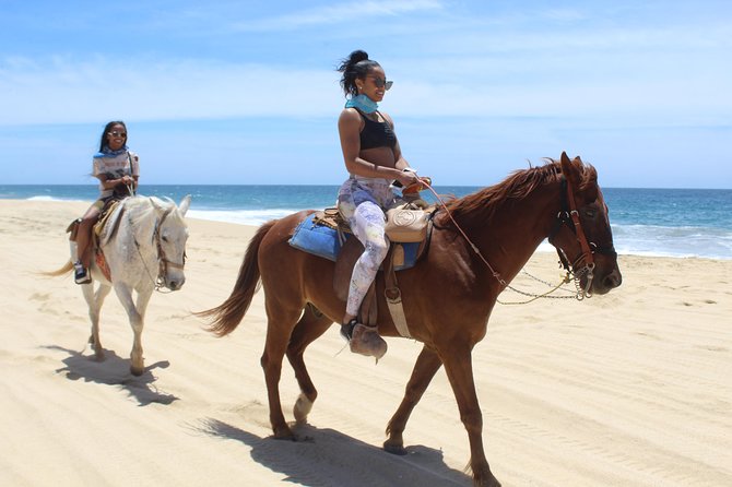 Guided Cabo Horseback Ride With Hotel Pickup  - Cabo San Lucas - Positive Reviews About Tour Guides
