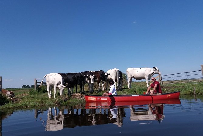 Guided Canoe Adventure With Picnic Lunch in Waterland From Amsterdam - Important Information