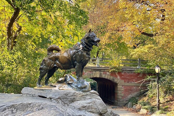 Guided Central Park Bike Tour 2 Hours - Meet the Knowledgeable and Friendly Tour Guides