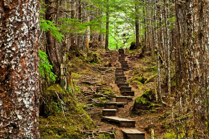 Guided Hike TONGASS NATIONAL FOREST - Traveler Photos