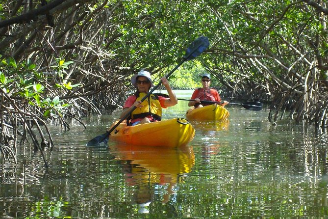 Guided Kayak Eco Tour - Bunche Beach - Reviews and Ratings