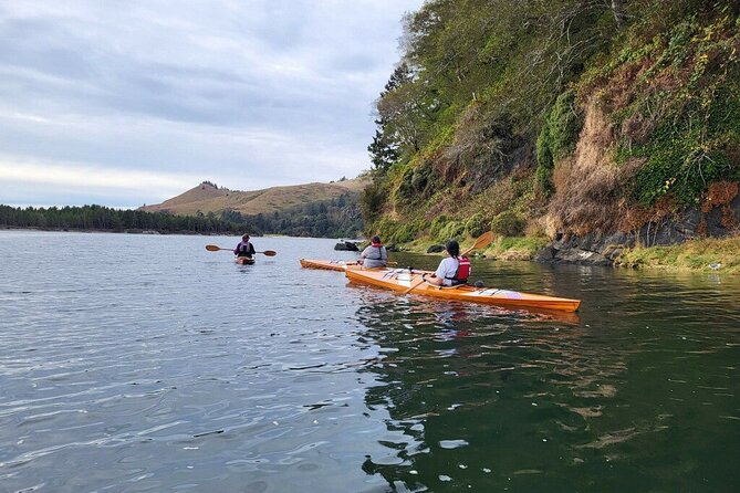 Guided Kayak Tours on the Salmon River Estuary in Otis, Oregon - Expectations and Requirements