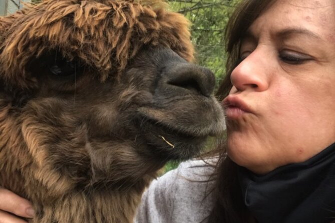 Guided Lilymoore Alpaca Farm Tour - Additional Information