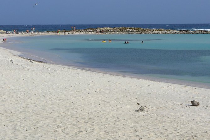 Guided Mangel Halto and Baby Beach Snorkeling Tour From Aruba - Snorkeling Experience, Tour Guides, and Overall Recommendation