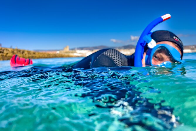 Guided Snorkeling Activity on the Island of Tarifa - Important Information