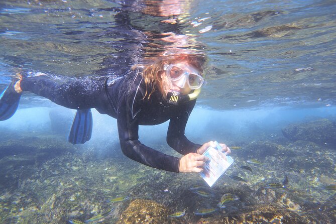Guided Snorkeling Experience - Capture Stunning Underwater Photographs