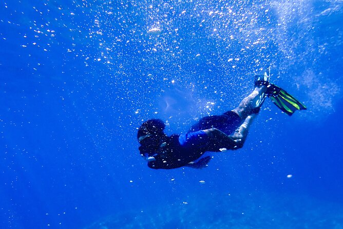 Guided Snorkeling Trips Kos Island - What To Expect
