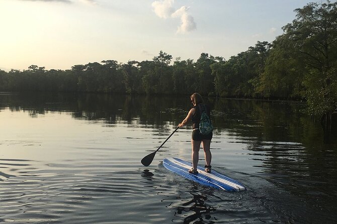 Guided Stand-Up Paddleboard - The Sum Up