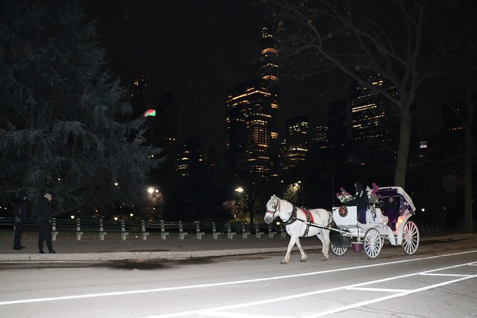 Guided Standard Central Park Horse Carriage Ride (Up to 4 Adults) - Feedback From Dissatisfied Customers