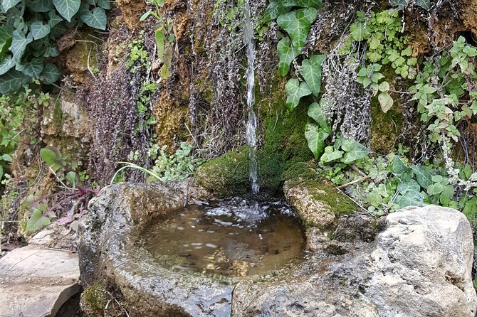 Guided Tour in Talanta Watermill & Liotrivi Historical Estate With Tasting &Meal - Common Questions