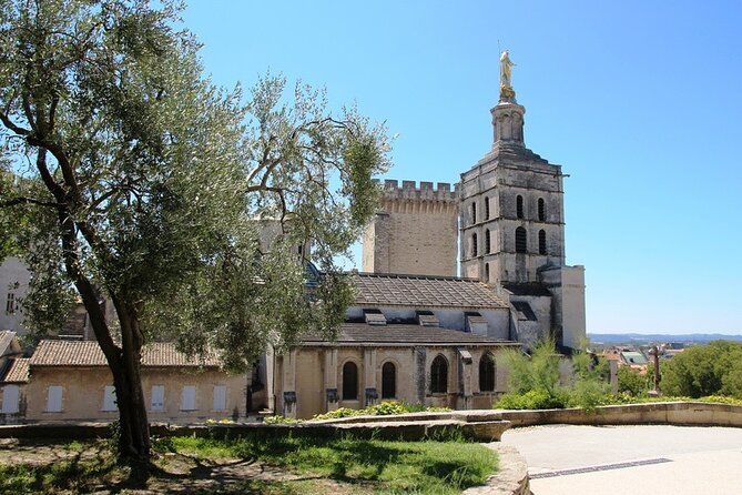 Guided Tour of Avignon - Pricing and Terms