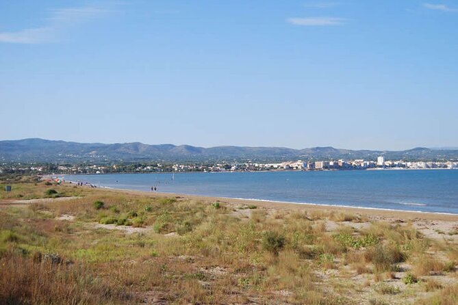 Guided Tour of the Ebro Delta - Reviews and Ratings