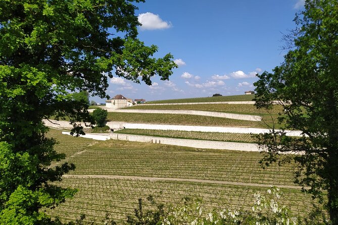 Guided Tour of the Vineyard of Saint Emilion En Courant - Inclusions and Activities