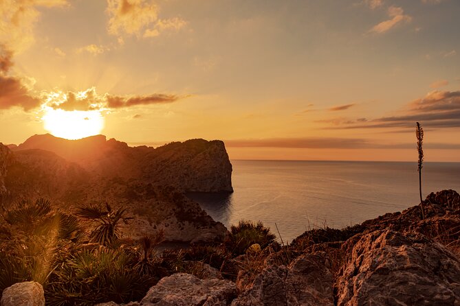 Guided Trike Tour in Mallorca in a Small Group - Tour Highlights