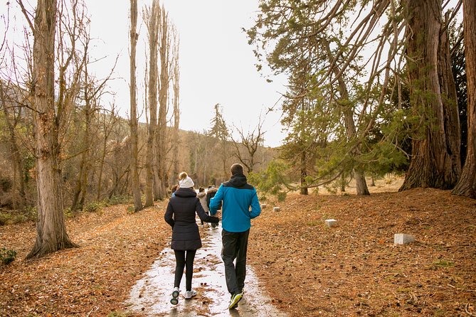 Guided Visit to the Redwoods of La Losa. - Wildlife and Flora in La Losa