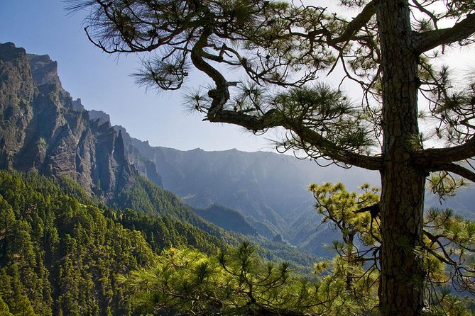 Guided Walking Route to Caldera De Taburiente - Common Questions