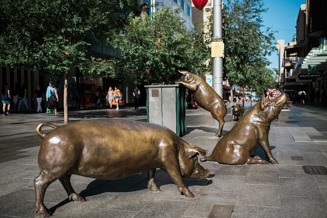 Guided Walking Tour in Adelaide - Additional Information