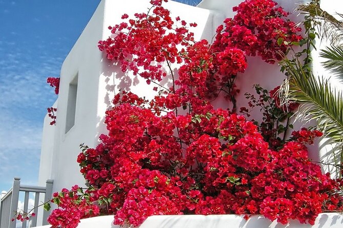 Guided Walking Tour Mykonos, Little Venice, Windmills, Beaches - Logistics and Transportation Details