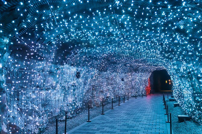 Gwangmyeong and Dodeoksan Park Full Day Tour by Bus - Gwangmyeong: Exploring the Underground World