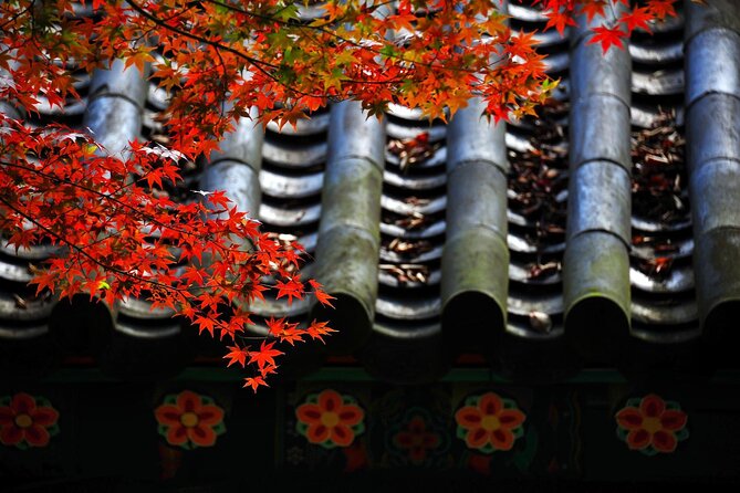 Gyeongju Maple Tour From Busan - Transportation Options