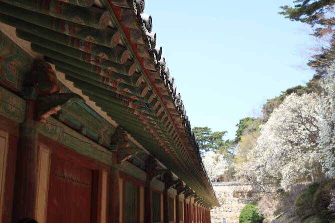 Gyeongju the UNESCO Sites Tour for Small Group - The Sum Up