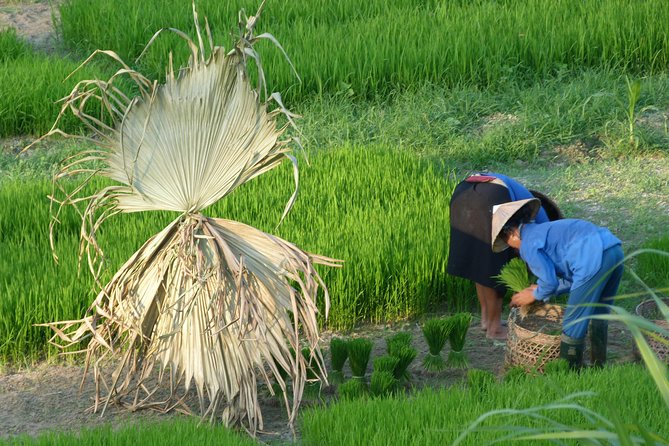 Ha Giang Trekker 2D2N - Cancellation Policy