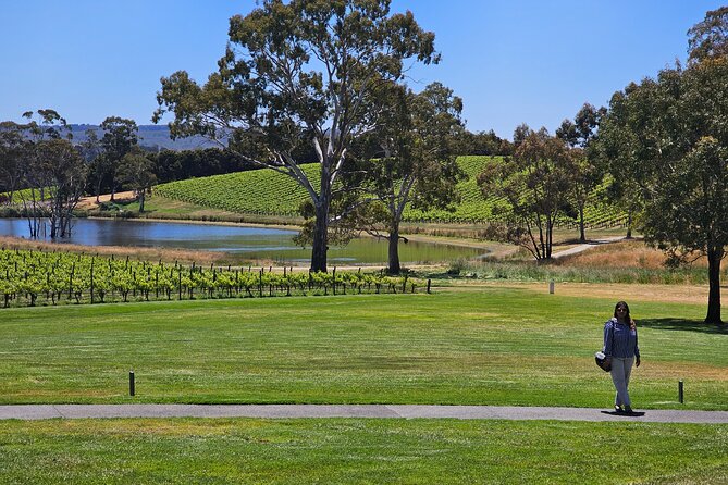 Hahndorf and Hills Gourmet Food and Wine Private Tour - Return Journey and Farewell