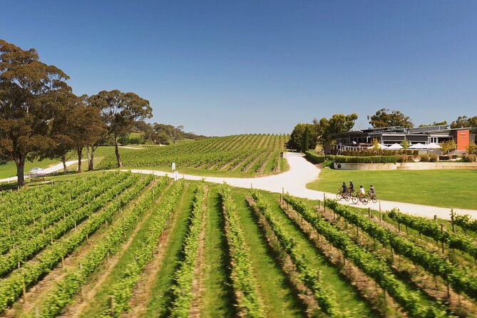 Hahndorf Food and Wine E-Bike Tour - Cancellation Policy and Weather Conditions