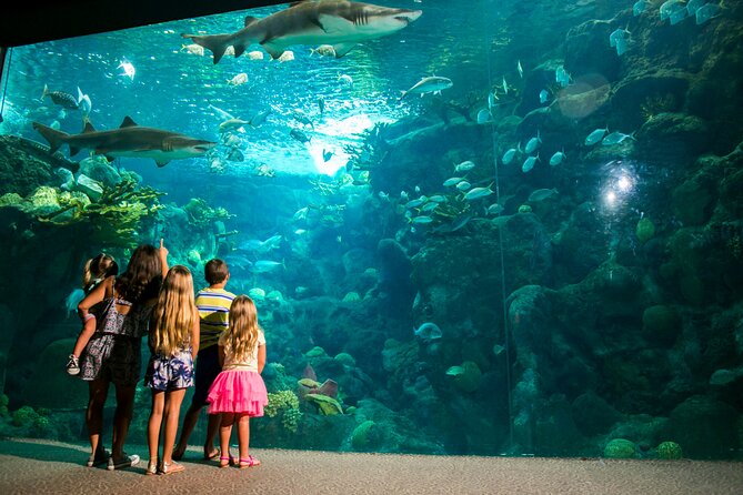 Half Day Antalya Aquarium Tour And Wax Museum - Reviews