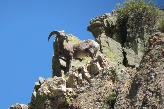Half Day Beg/Inter Rafting Near Ft Collins - Estes Park - Boulder - Cancellation Policy