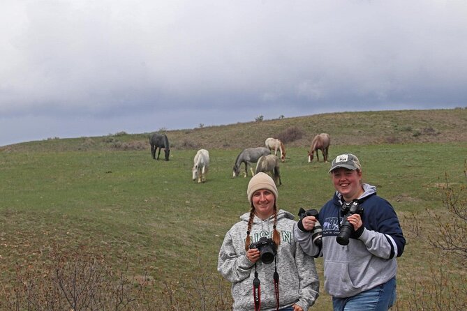 Half Day Chasing Horses Wildlife Photography Experience in North Dakota - Reviews and Ratings