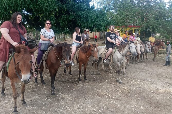 Half-Day City Tour Cultural From Punta Cana for Small Group - Common Questions