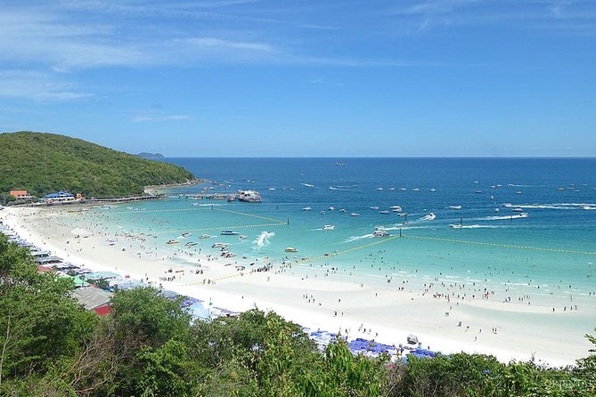 Half-Day Coral Island Join Tour With Lunch From Pattaya - Traveler Testimonials
