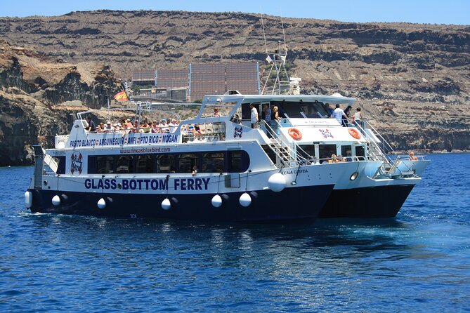 Half-Day Cruise Tour-Dolphin and Whale Watching - Traveler Reviews and Recommendations