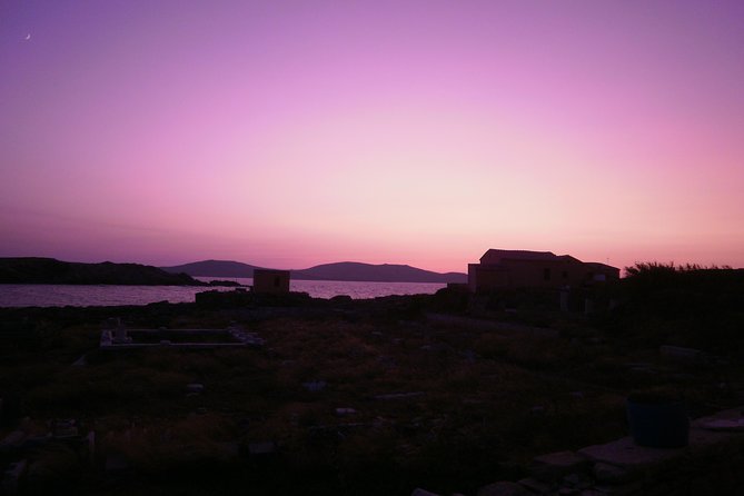 Half-Day Delos Tour From Mykonos - Meeting and Logistics