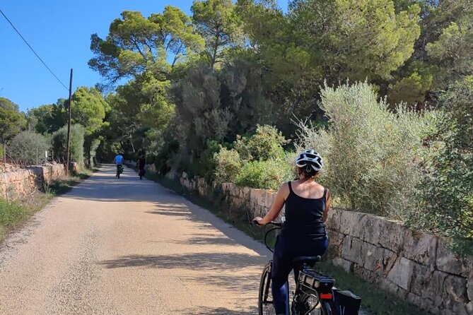 Half-Day E-Bike Tour to the Sineu Market - Tour Pricing and Options