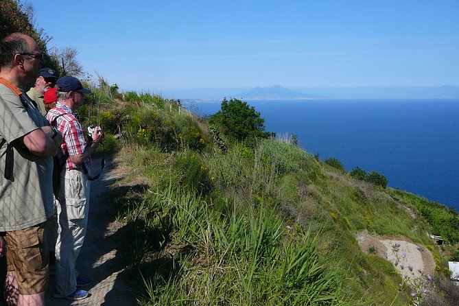 Half-Day East Coast Hike in Ischia Island With Pick-Up - Important Safety Tips for the Hiking Adventure