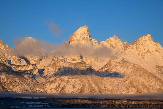 Half-Day Grand Teton Wildlife Private Safari Tour - Traveler Reviews