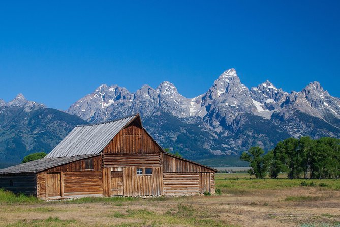 Half-Day Grand Teton Wildlife Safari Private Tour - Cancellation Policies