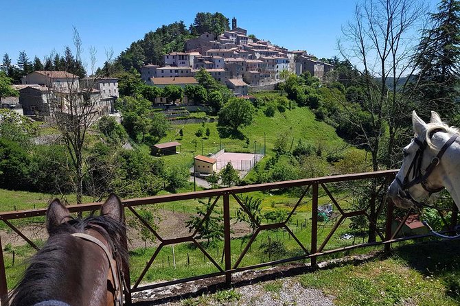 Half-Day Horseback Ride in Tuscany for Beginner Riders - Important Additional Information for Riders