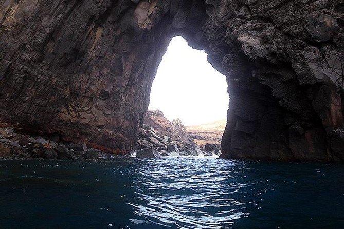 Half Day Kayak Tours - Common Questions