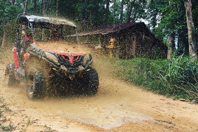 Half-Day Koh Samui Buggy Tour to Koh Samui Mountain - Reviews