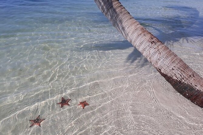 Half-day Motorbike Tour in Phu Quoc Island - Additional Information and Assistance
