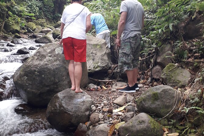 Half-Day Nature and Panorama Tour in Martinique - Cancellation and Weather Policy