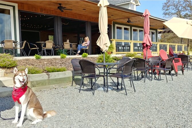 Half-Day North Georgia Wine Country Tour From Atlanta - Additional Information