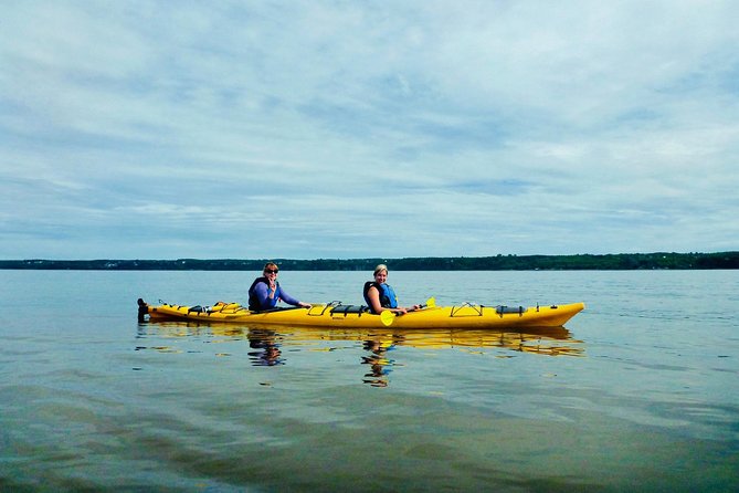 Half-Day Orleans Island Small-Group Sea Kayaking Tour - Tour Experience