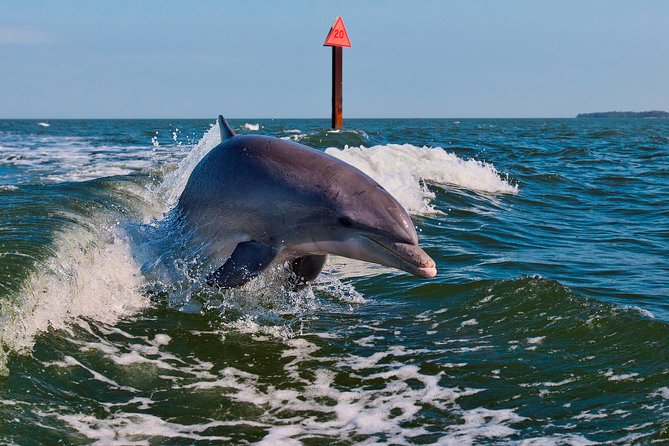 Half-Day Private Boating On Black Hurricane - Indian Rocks Beach - Cancellation Policy and Weather Considerations
