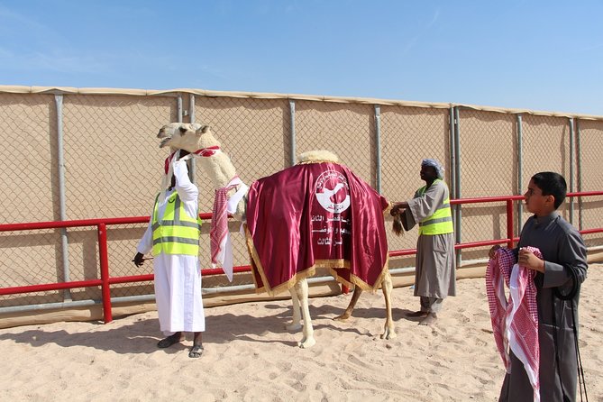 Half-Day Private Guided Camel Race Tour in Qatar - Drive Alongside the Racing Camels