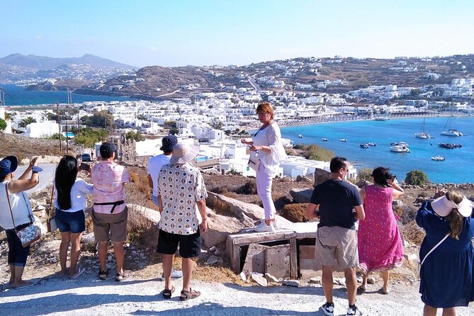 Half-Day Private Guided Tour in Mykonos up to 6 - Common Questions